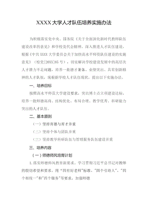 大学人才队伍培养实施办法.docx