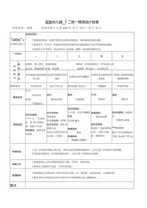 实验幼儿园中一班一周活动计划表.docx