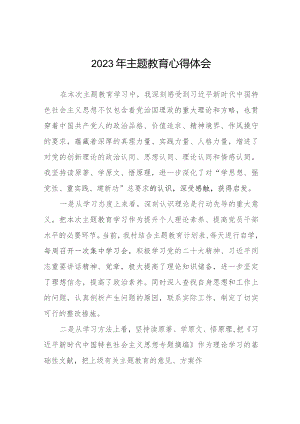 村支部书记关于第二批主题教育的心得体会七篇.docx