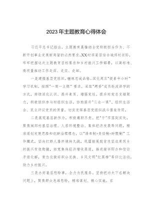 2023年村书记关于第二批主题教育心得体会七篇.docx
