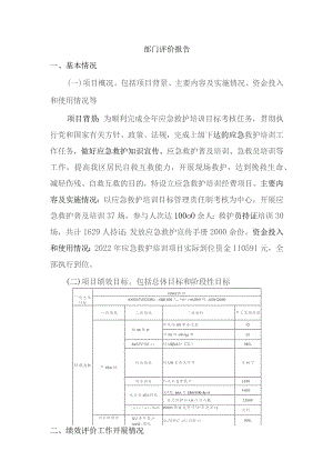 部门评价报告.docx