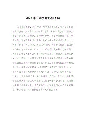 村党支部书记参加主题教育的心得体会七篇.docx