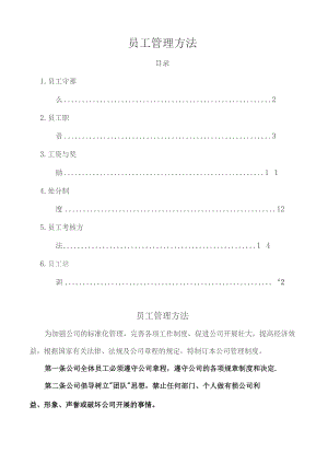 员工管理办法.docx