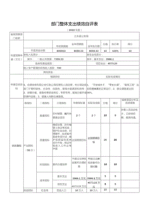 部门整体支出绩效自评表.docx
