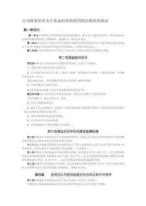公司财务管理关于资金担保和使用授信额度的规定.docx