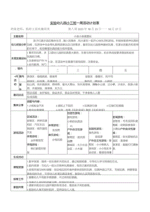 实验幼儿园小三班一周活动计划表.docx