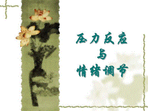 压力与情绪管理.ppt