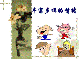 丰富多样的情绪.ppt.ppt