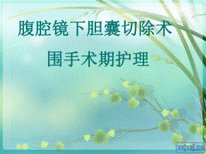 腹腔镜胆囊切除术围手术期护理.ppt