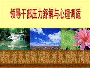 领导干部压力舒解与心理调适.ppt