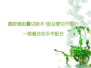 腹腔镜胆囊切除术胆总管切开取石术的手术配合.ppt