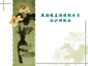 腹腔镜直肠癌根治术手术配合.ppt