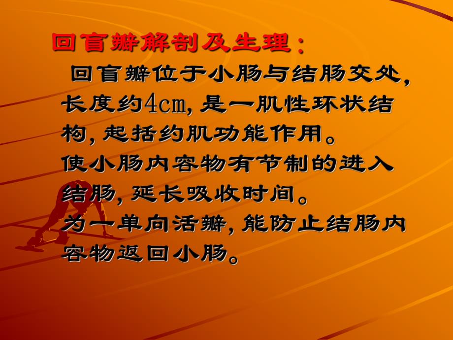 外科讲稿:回盲瓣功能.ppt_第3页