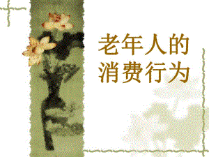 老人的消费行为.ppt