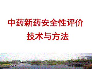 中药新药安全性评价.ppt