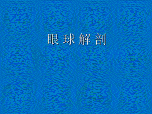 眼球解剖.ppt