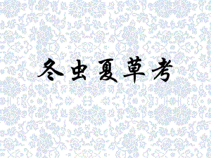 名贵中药材虫草.ppt