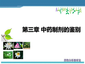 2第二章中药制剂分析鉴别.ppt