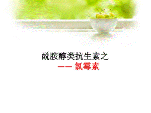 氯霉素的药物分析.ppt