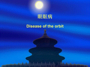 眼科学眼眶病精要.ppt