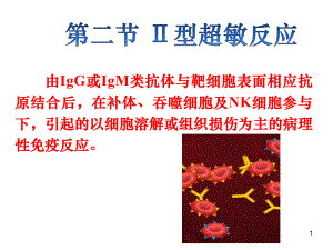 第二节 Ⅱ型超敏反应.ppt