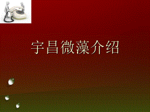螺旋藻知识讲解.ppt