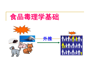 食品毒理学基础教学课件PPT.ppt