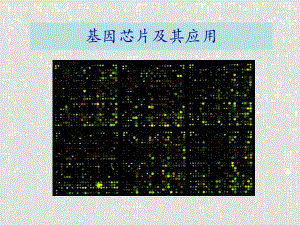 基因芯片.ppt.ppt