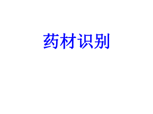 药材识别.ppt
