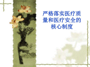 严格落实医疗质量和医疗安全的核心制度.ppt