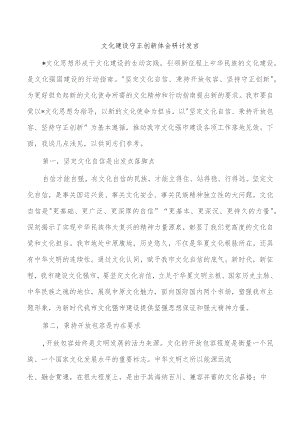 文化建设守正创新体会研讨发言.docx