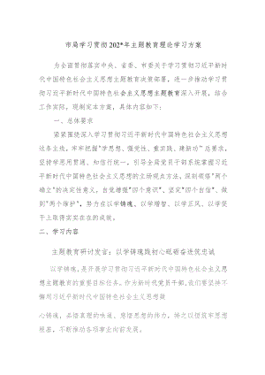 XX市局学习贯彻2023年主题教育理论学习方案.docx