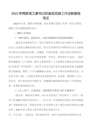 2023年两新x工委书记抓基层x建工作述职报告团队汇报总结.docx