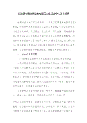 政法委书记巡视整改专题民主生活会个人发言提纲.docx