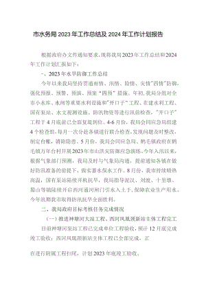 市水务局2023-2024年度工作总结及下一年工作计划.docx