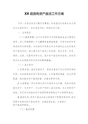 XX县国有资产盘活工作方案.docx