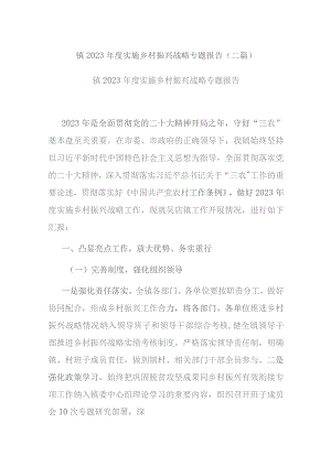 镇2023年度实施乡村振兴战略专题报告(二篇).docx