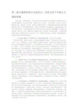 第二批主题教育研讨交流发言：在担当实干中践行正确政绩观.docx