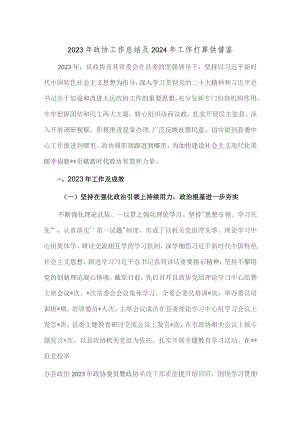 2023年政协工作总结及2024年工作打算供借鉴.docx