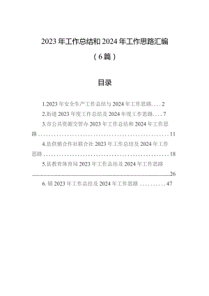 2023年工作总结和2024年工作思路汇编（6篇）.docx