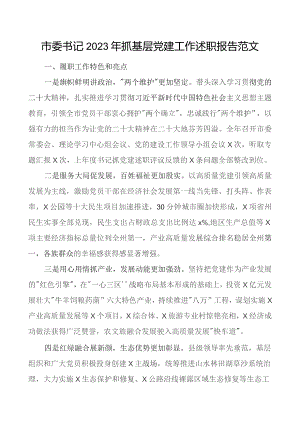 2023年抓基层x建工作述职报告团队建设委总结汇报.docx