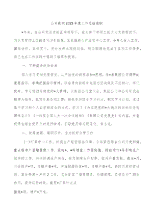 公司副职2023年度工作总结述职.docx