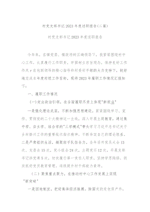 村党支部书记2023年度述职报告(二篇).docx
