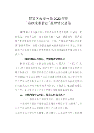 某某区公安分局2023年度“谁执法谁普法”履职情况总结.docx