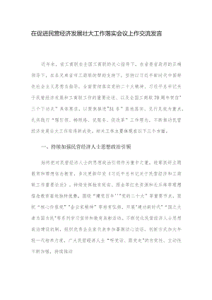 在促进民营经济发展壮大工作落实会议上作交流发言.docx