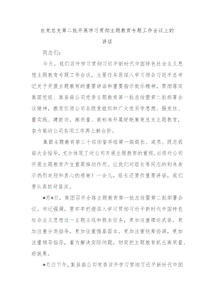 在党总支第二批开展学习贯彻主题教育专题工作会议上的讲话.docx