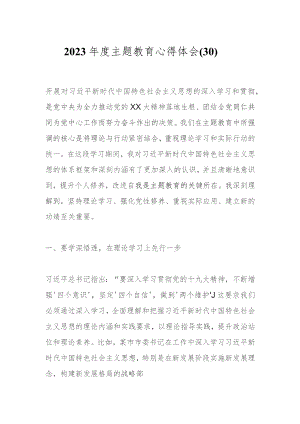 2023年度主题教育心得体会（30）.docx
