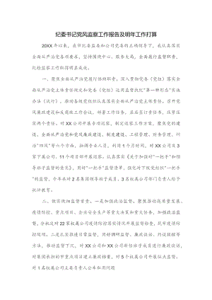 纪委书记党风监察工作报告及明年工作打算.docx