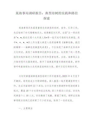 某海事局调研报告：典型培树的实践和路径探索.docx