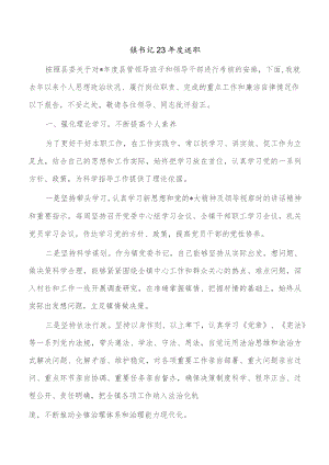 镇书记23年度述职.docx